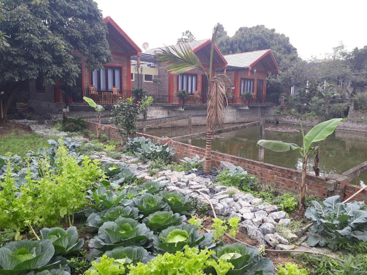 Chez Hiep Tam Coc Homestay 닌빈 외부 사진